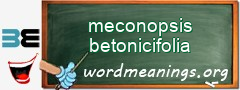 WordMeaning blackboard for meconopsis betonicifolia